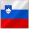 Slowenisch Übersetzungen | RixTrans Ltd